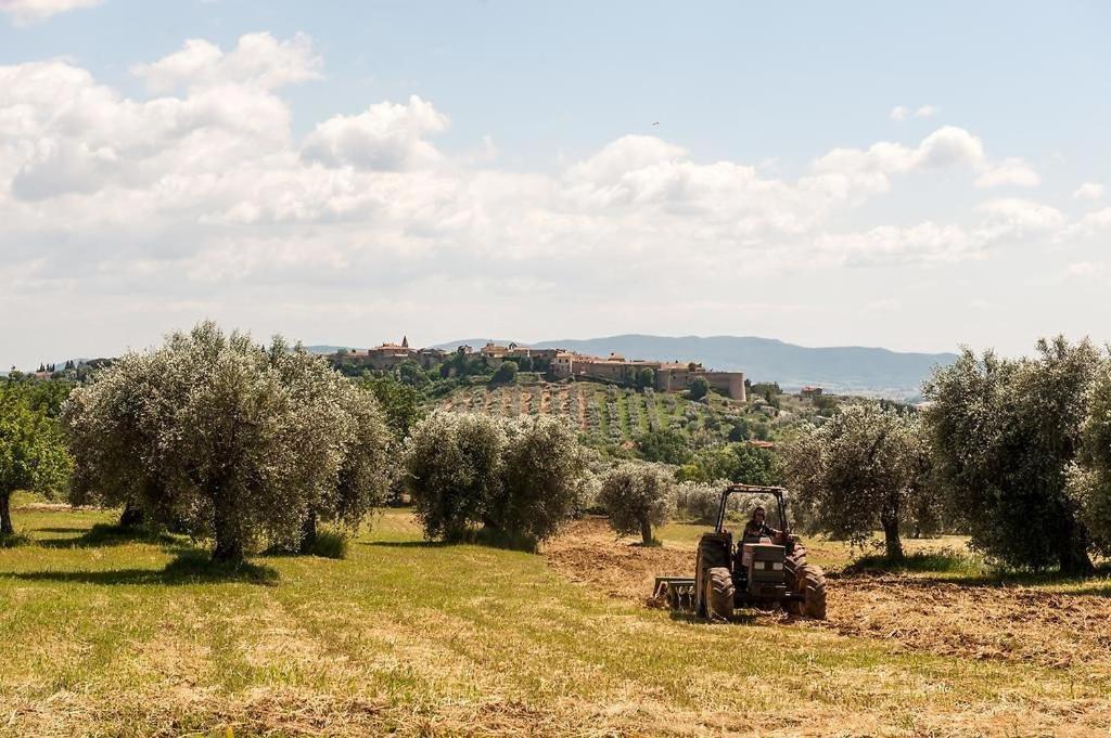 Tenuta Campospillo Magliano in Toscana Exteriér fotografie