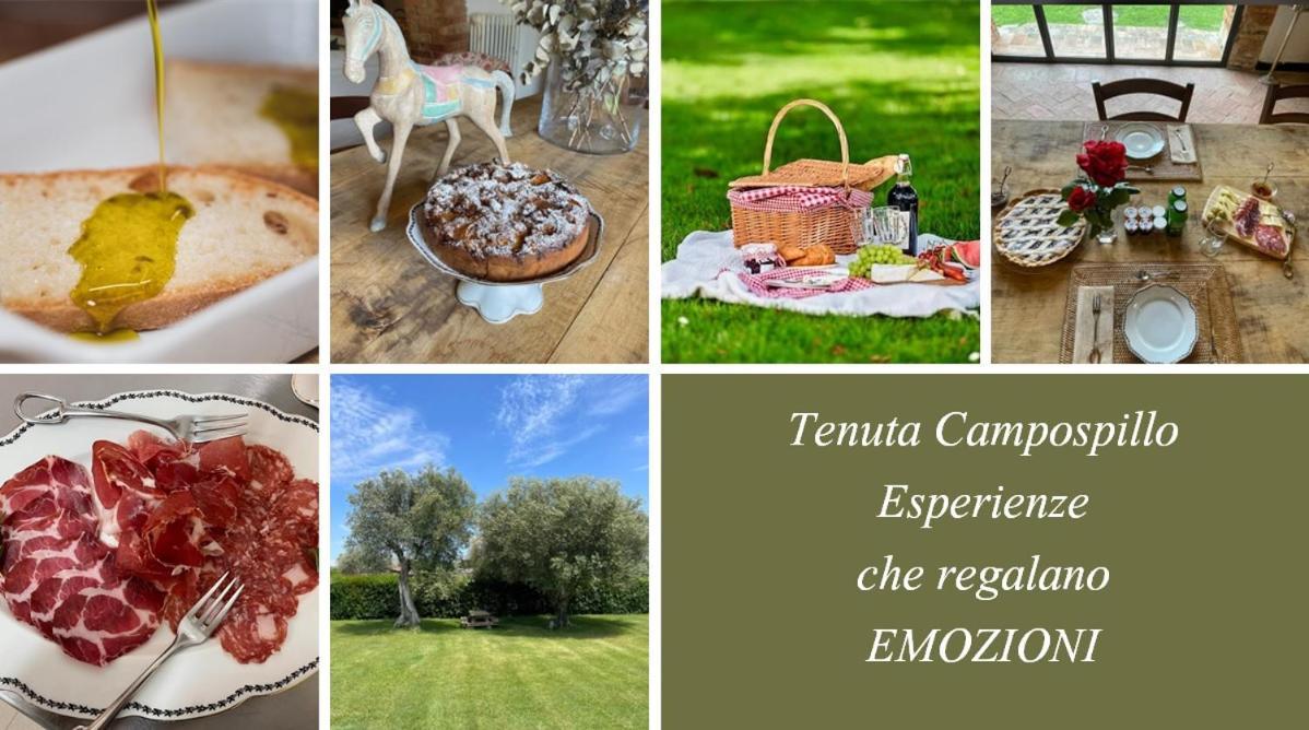 Tenuta Campospillo Magliano in Toscana Exteriér fotografie