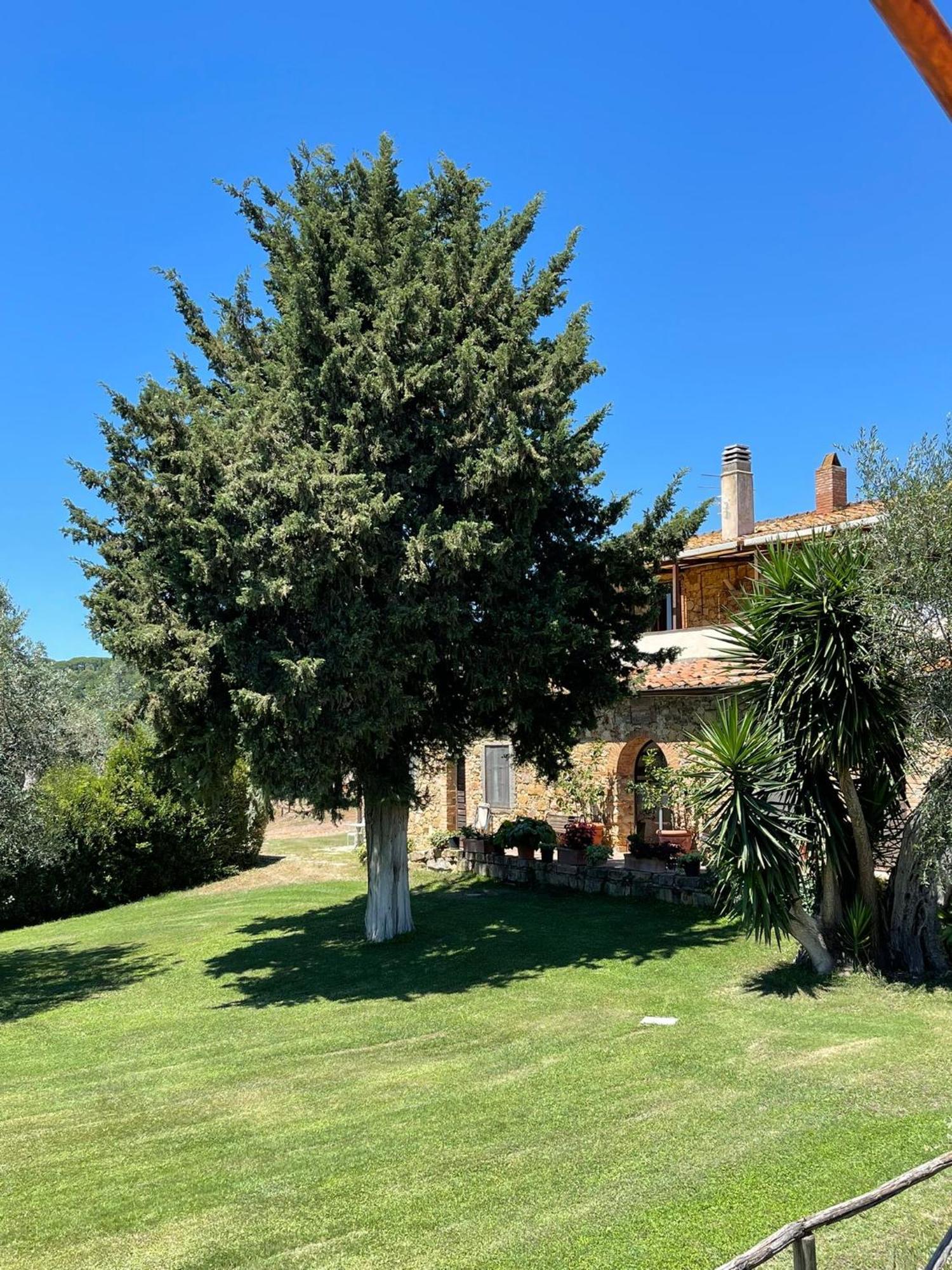 Tenuta Campospillo Magliano in Toscana Exteriér fotografie
